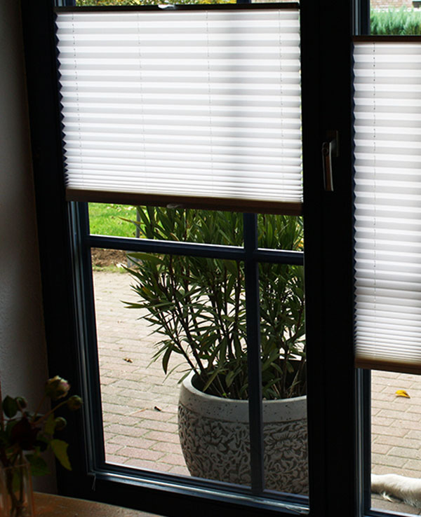 Plissee am Fenster